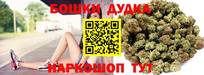 молекула духа Пугачёв