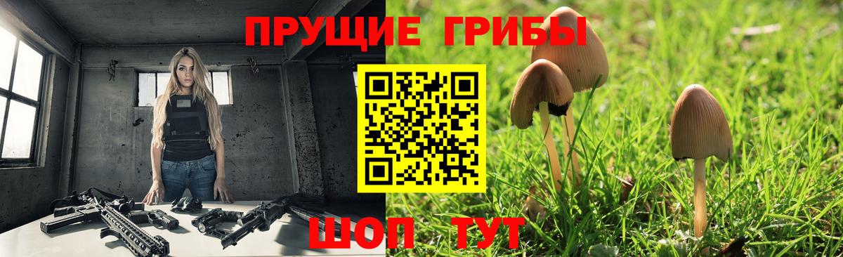 Скопин  Псилоцибиновые грибы Psilocybe  Вход с VPN 